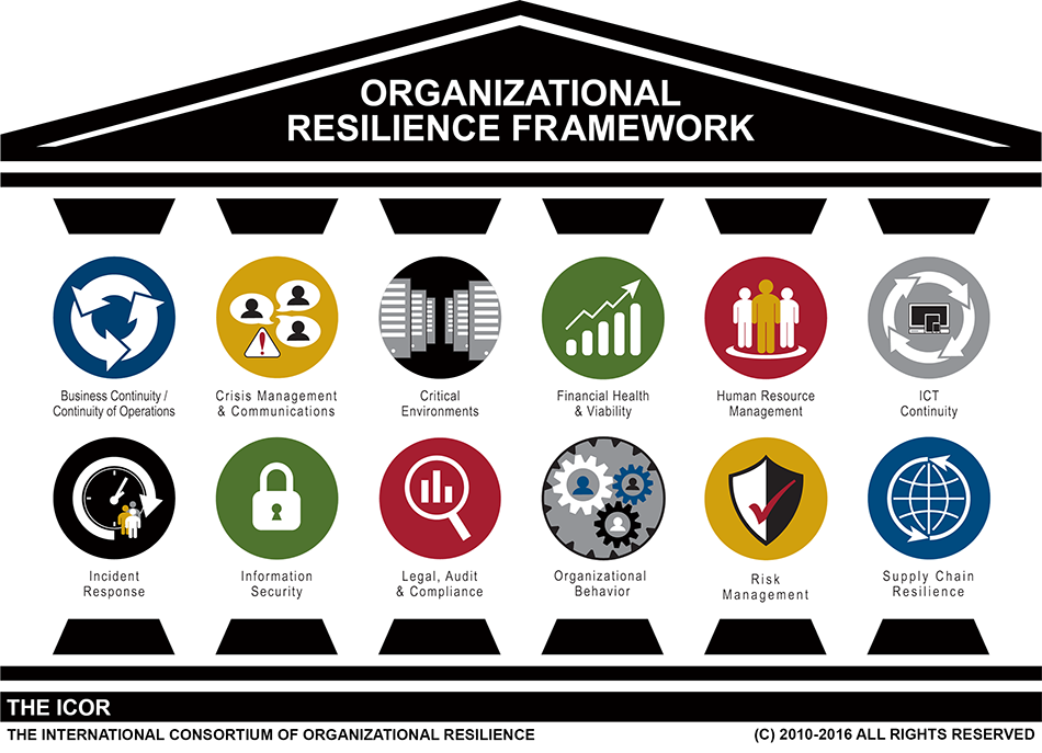 organizational resilience